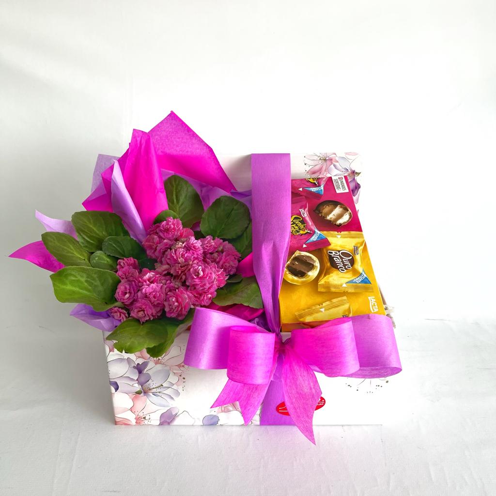 Delicadas Violetas com Bombons