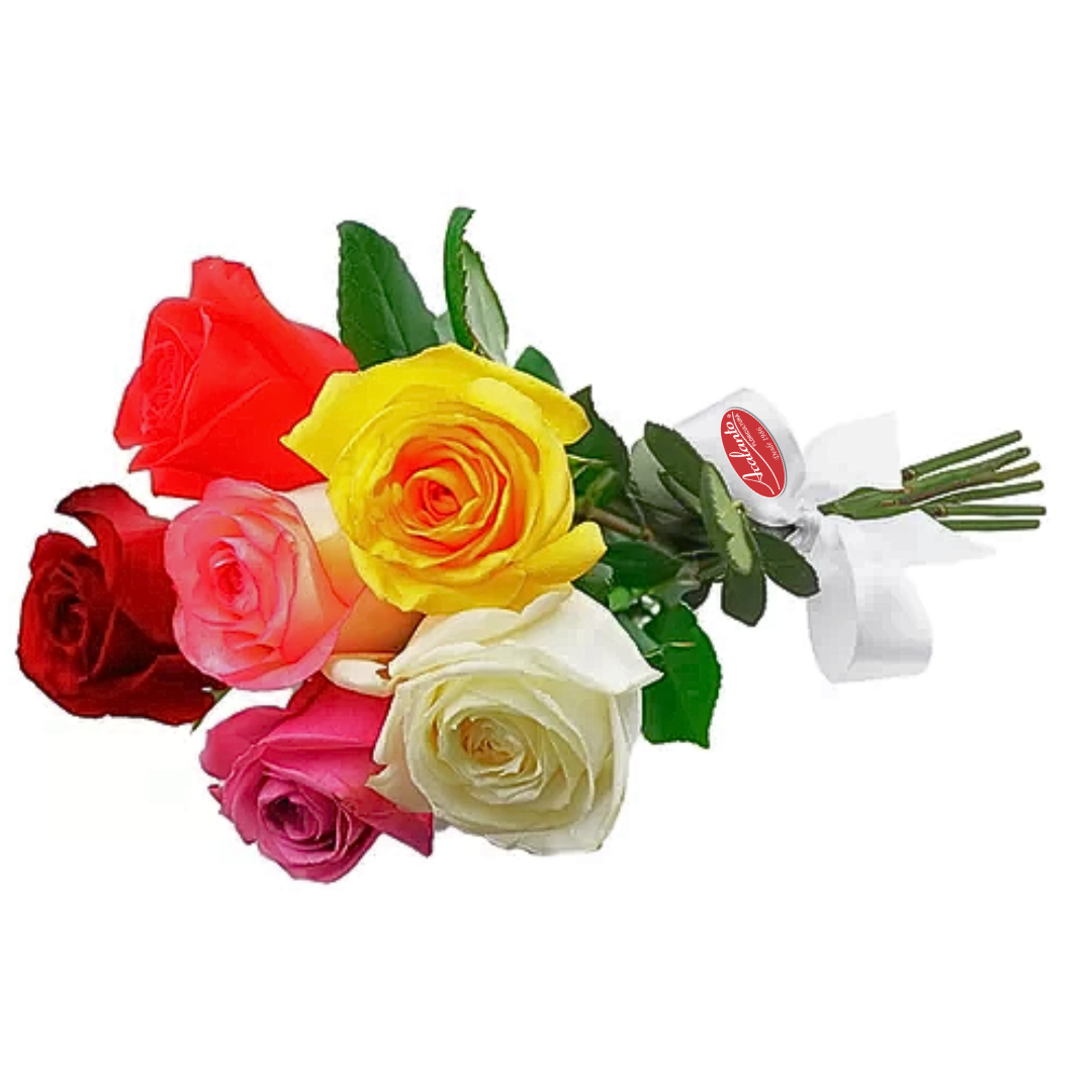 Buqu Encanto com 6 rosas coloridas