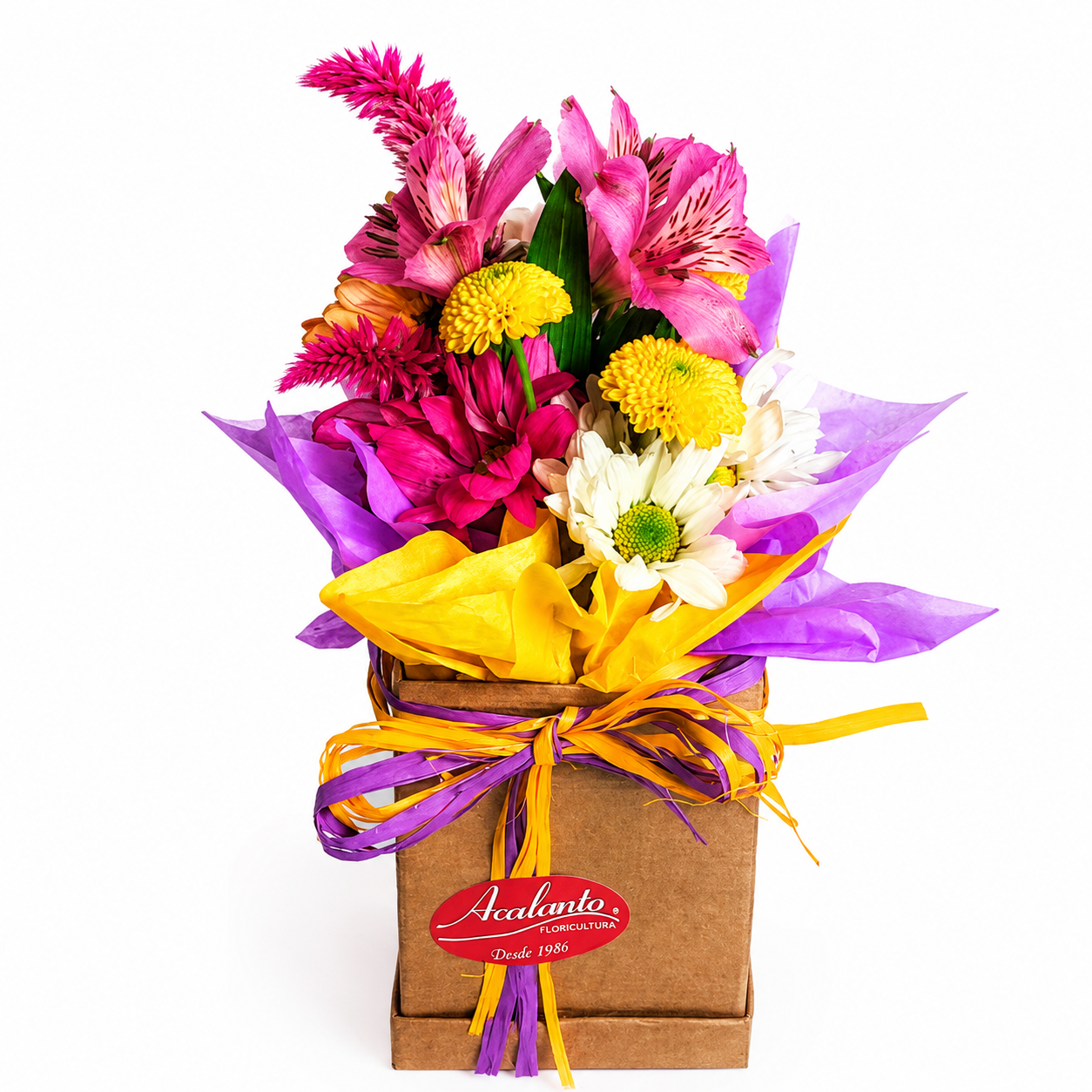 Mimo com Flores do Campo