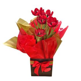 Box com Tulipas
