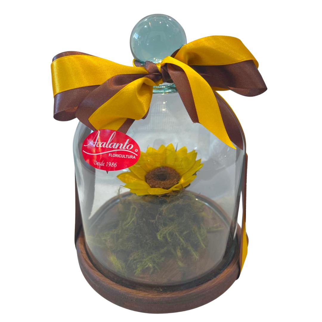 Girassol Encantado na C�pula