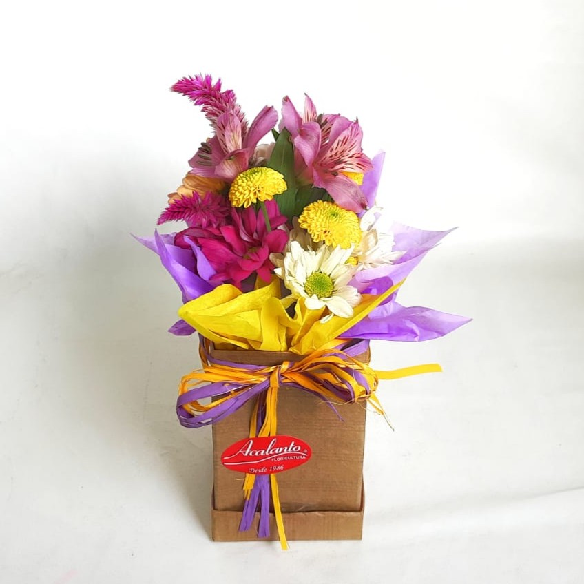 Mimo de Flores do Campo