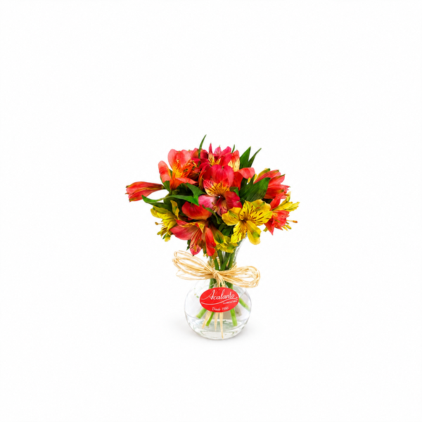 Alstromerias Coloridas em Vaso de Vidro P
